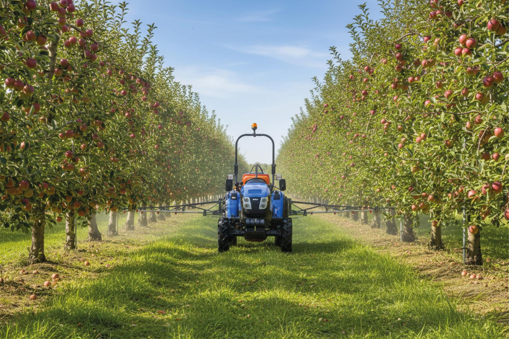 Solis 40 (8+8) ROPS Traktor